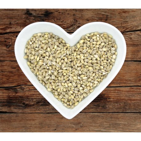 Barley 5Kg